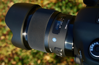 お写ん歩: SIGMA 150-600mm F5-6.3 DG OS HSM Contemporaryアーカイブ